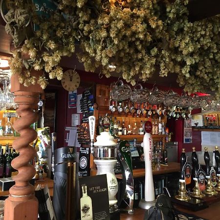 Tiger Inn Bridport Εξωτερικό φωτογραφία