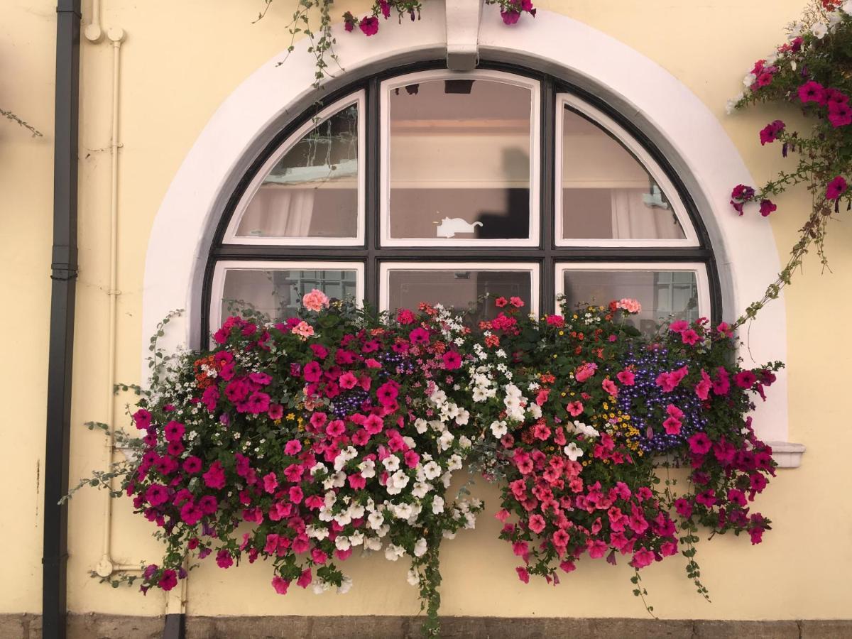 Tiger Inn Bridport Εξωτερικό φωτογραφία